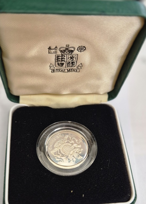 1 pound silver coin
